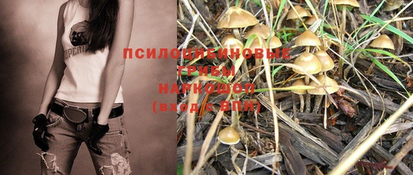 дмт Баксан