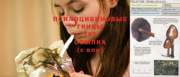 дмт Баксан
